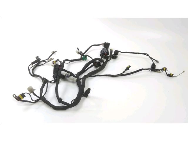 Faisceau electrique occasion DUCATI MONSTER 696 2011