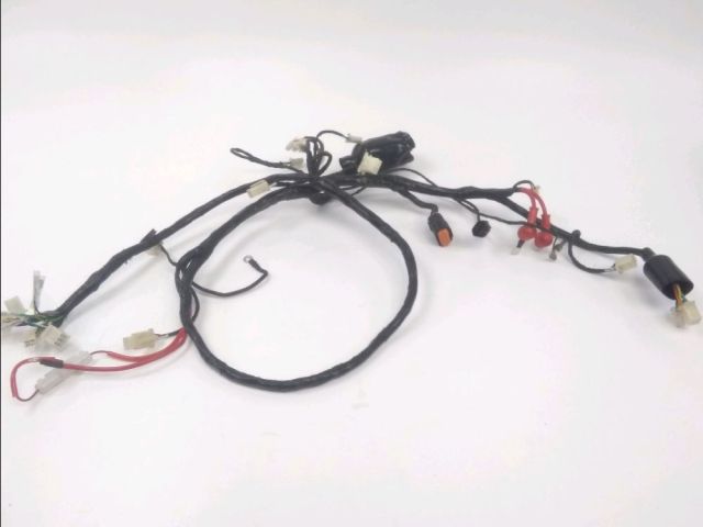 Faisceau electrique occasion JM MOTORS EVOLIS 50 2021