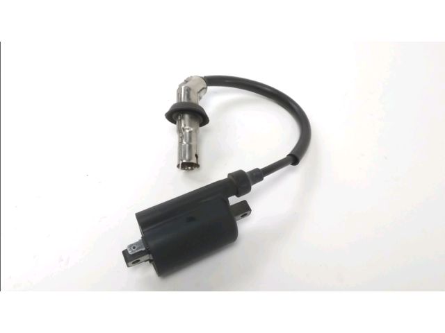 Bobine allumage occasion PEUGEOT KISBEE 2020