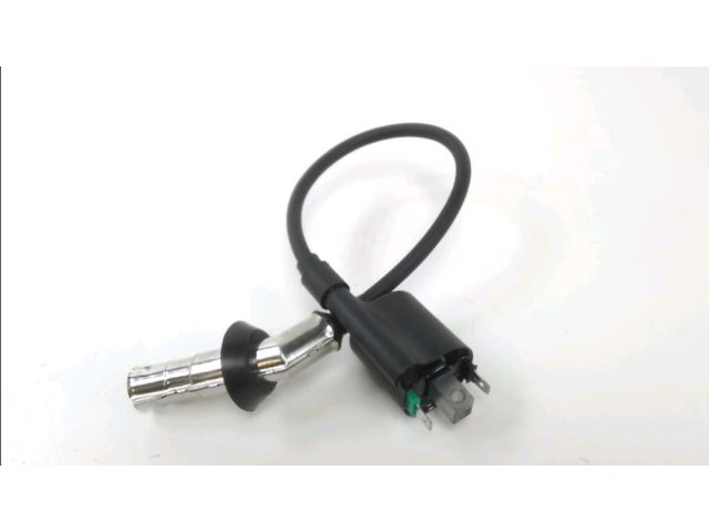 Bobine allumage occasion JM MOTORS EVOLIS 2021