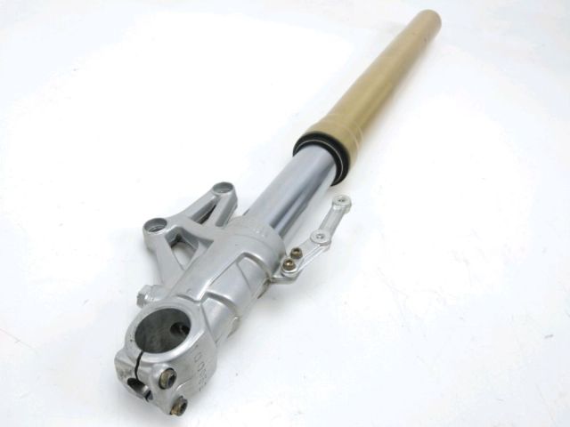Tube de fourche droit occasion BENELLI TNT CAFE RACER 2008