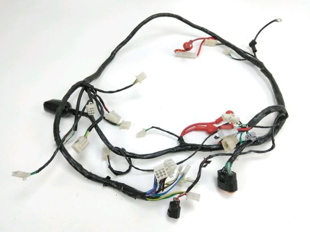 Faisceau electrique occasion JM MOTORS EVOLIS 2021