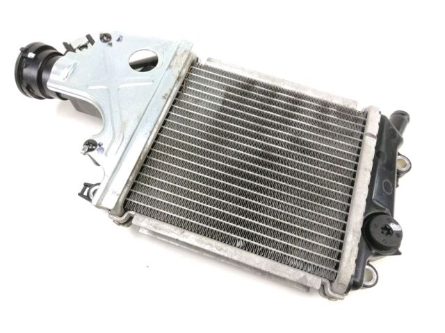 Radiateur eau occasion HONDA NSS 125 FORZA 2021