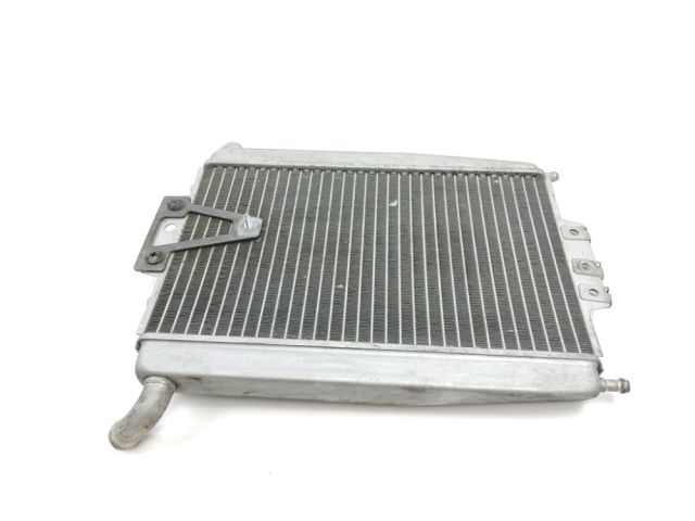 Radiateur eau occasion PIAGGIO X-EVO 125 2014