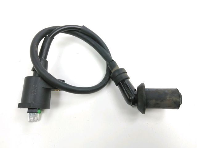 Bobine allumage occasion ECCHO RETRO 2017