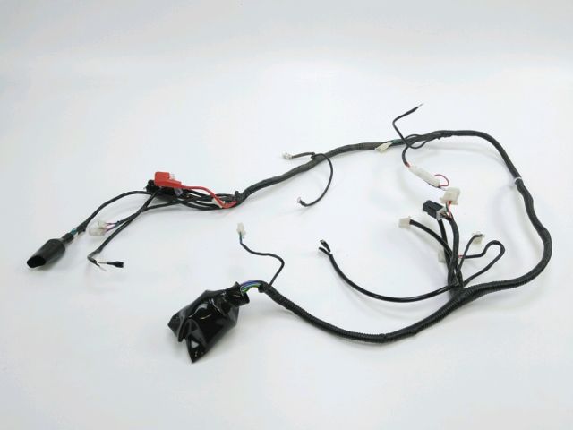 Faisceau electrique occasion JM MOTORS EVOLIS 50 2022