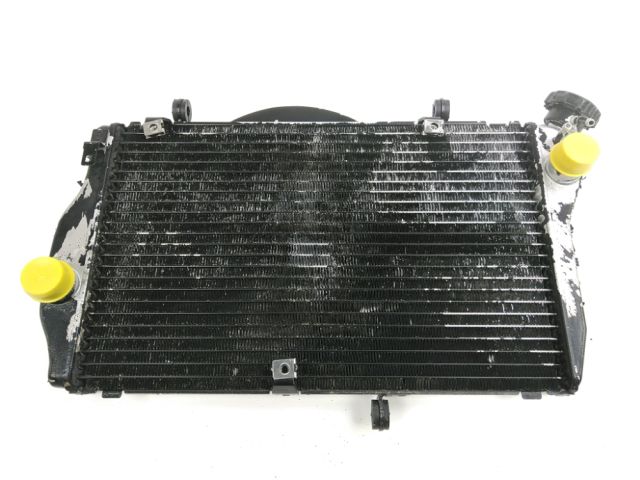 Radiateur eau occasion HONDA CBR 1100 XX 2007
