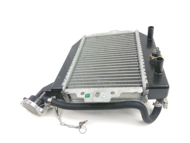 Radiateur eau occasion PEUGEOT CITYSTAR 2021