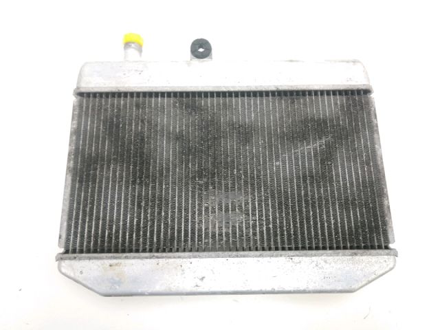 Radiateur eau occasion SUZUKI AN 400 BURGMAN 2008