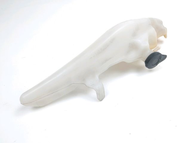 Vase expansion occasion HONDA CB 600 HORNET 2007