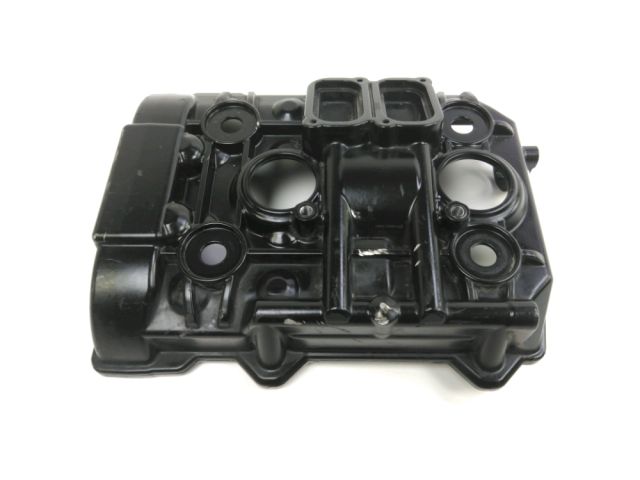 Cache culbuteur occasion KTM DUKE 790 2018