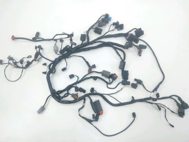 Faisceau electrique occasion TRIUMPH TIGER 2012