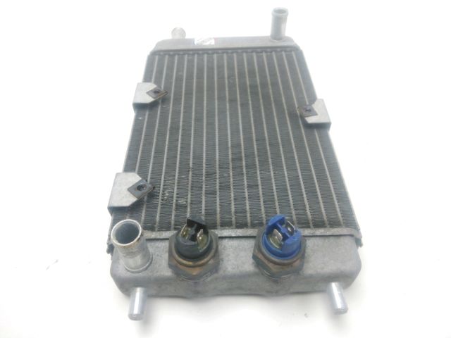 Radiateur eau occasion YAMAHA XQ 125 MAXSTER 2002