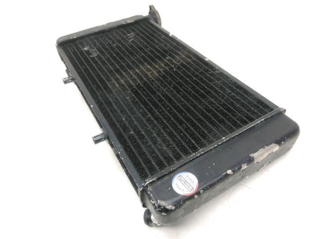 Radiateur eau occasion BMW F 650 ST 1997