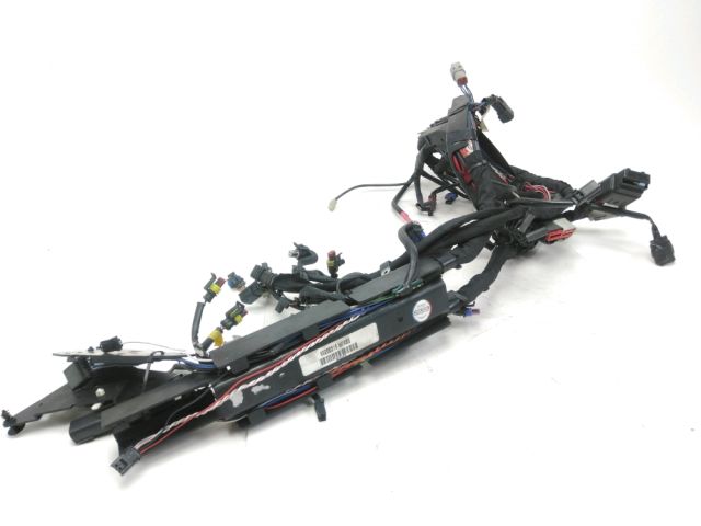 Faisceau electrique occasion HARLEY DAVIDSON SOFTAIL SLIM FLS 1690 2013