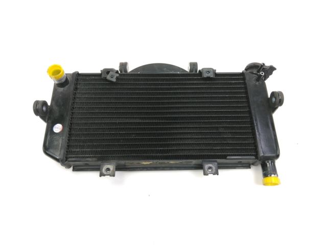 Radiateur eau occasion YAMAHA TDM 900 2009