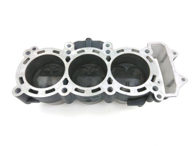 Bloc cylindre occasion TRIUMPH STREET TRIPLE S 2019