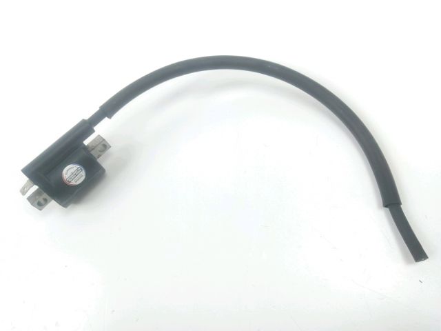 Bobine allumage occasion RIEJU TANGO 2017