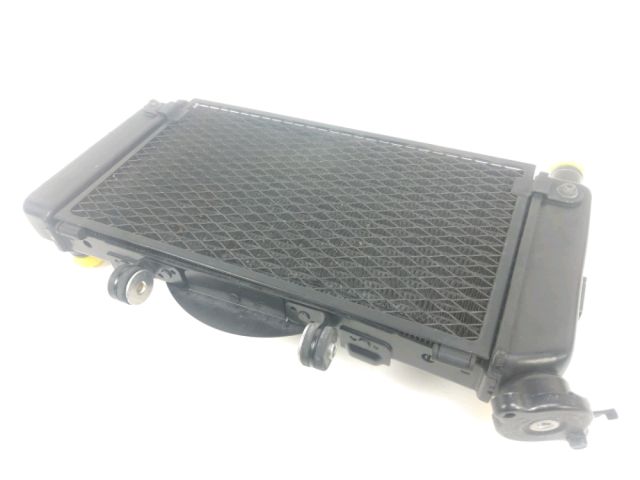 Radiateur eau occasion YAMAHA TDM 900 2011