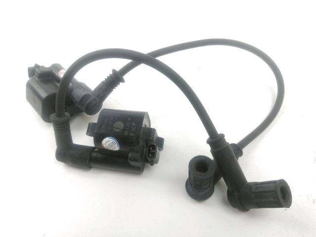 Bobine allumage occasion DUCATI MONSTER 796 2011