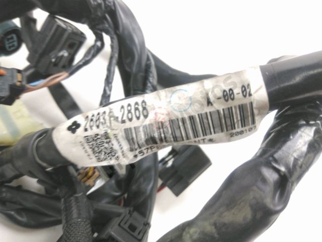 Faisceau electrique occasion KAWASAKI Z 650 2020