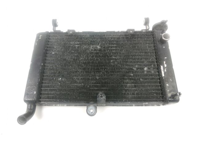 Radiateur eau occasion YAMAHA YZF 600 THUNDER CAT 2003