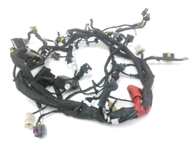 Faisceau electrique occasion DUCATI MONSTER 796 2010