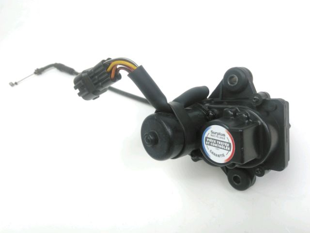 Valve echappement occasion DUCATI MONSTER 796 2010