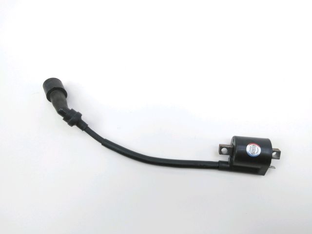 Bobine allumage occasion YAMAHA YP 125 MAJESTY 2008