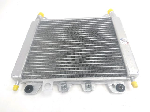 Radiateur eau occasion APRILIA SR 2015