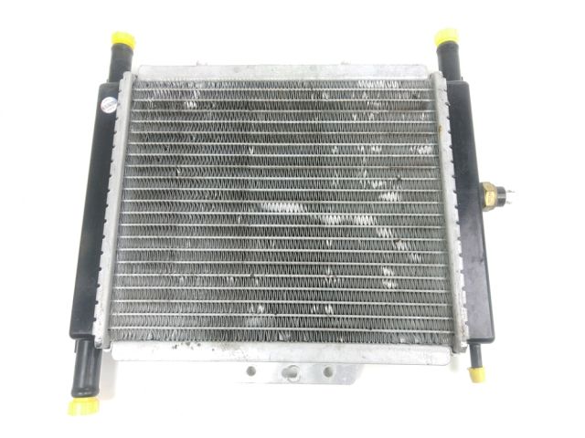 Radiateur eau occasion PEUGEOT GEOPOLIS 2009