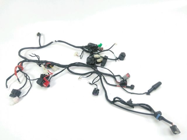 Faisceau electrique occasion JM MOTORS R MAX 2023