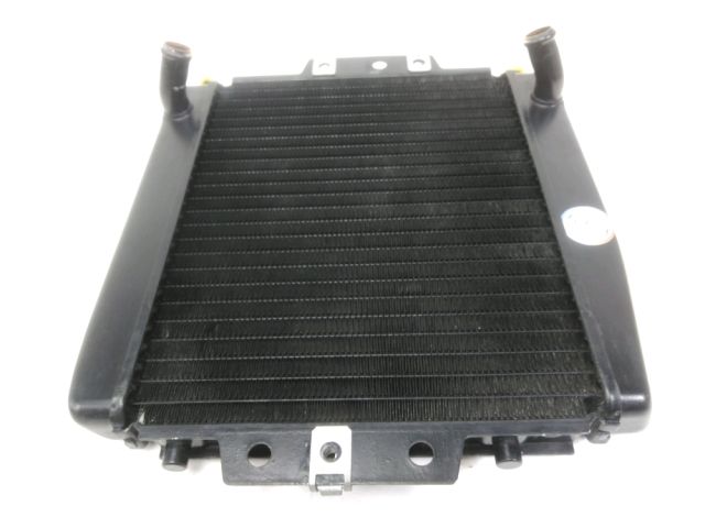 Radiateur eau occasion PIAGGIO MP3 250 2007