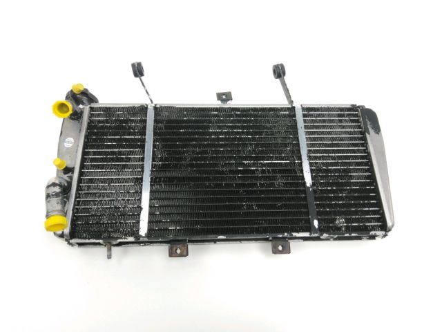 Radiateur eau occasion TRIUMPH SPRINT 2003