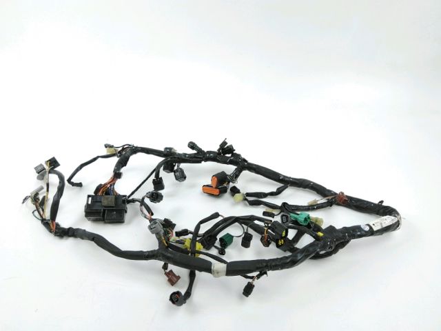 Faisceau electrique occasion SUZUKI SV 650 2008