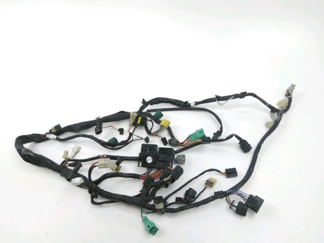 Faisceau electrique occasion KAWASAKI KLV 1000 2005