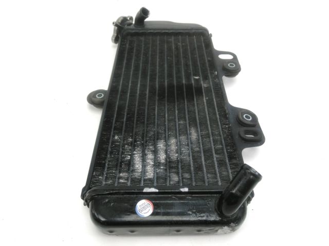 Radiateur eau occasion YAMAHA TDR 125 2002