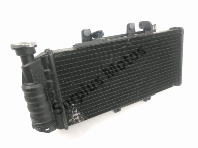 Radiateur eau occasion BMW F 800 GS 2009