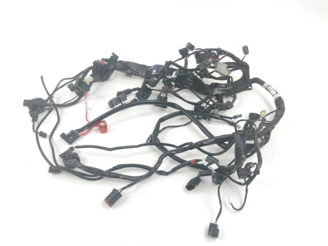 Faisceau electrique occasion TRIUMPH STREET TRIPLE 2022