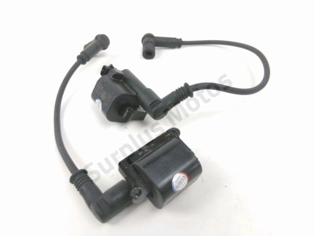 Bobine allumage occasion DUCATI MONSTER 696 2013