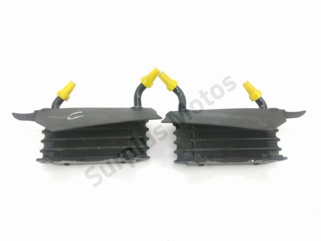 Radiateur huile occasion BMW R 850 R 2004