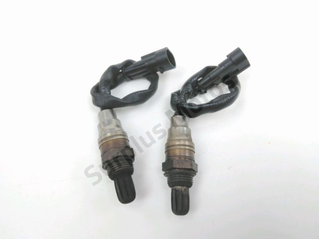 Sonde lambda occasion HARLEY DAVIDSON XL 1200 C 2012