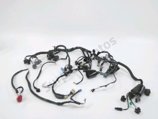 Faisceau electrique occasion KAWASAKI Z 800 2016