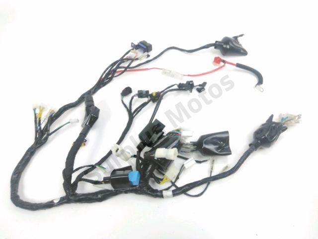 Faisceau electrique occasion FOSTI CK 2023