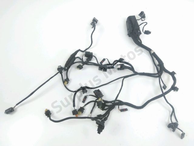 Faisceau moteur occasion BMW R 1200 NINE T 2022