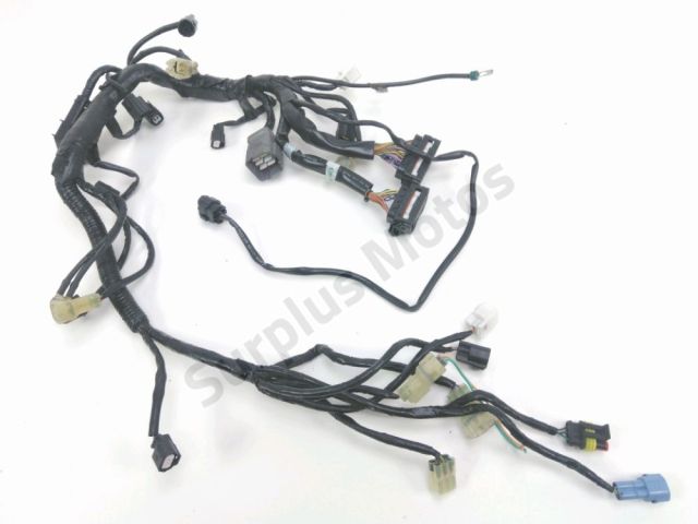 Faisceau moteur occasion KTM SUPER DUKE 1290 2016