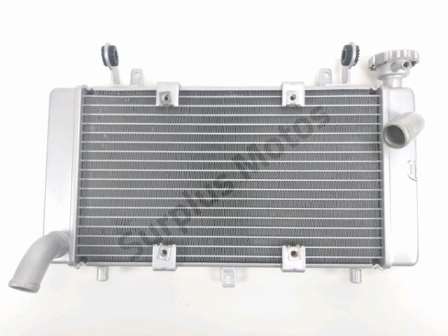 Radiateur eau occasion BENELLI TRK 502 2021
