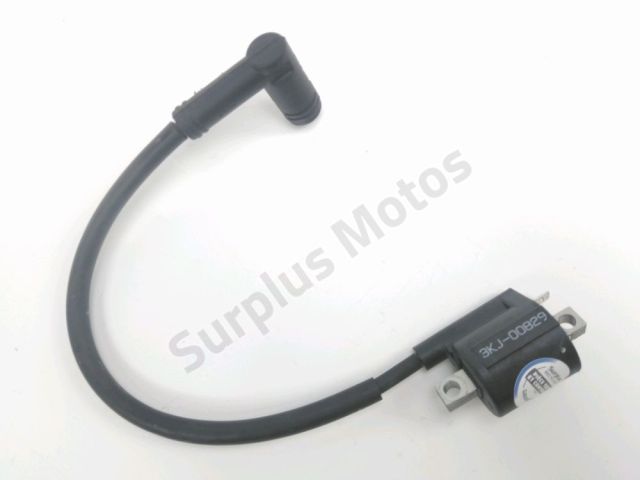 Bobine allumage occasion BETA RR 2018