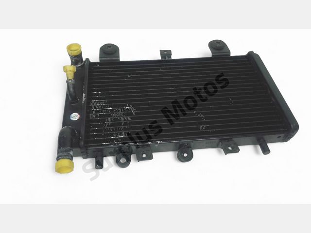 Radiateur eau occasion TRIUMPH TIGER 2006