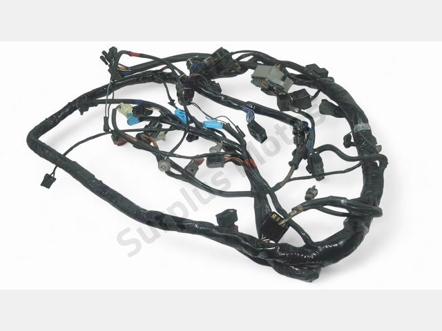 Faisceau electrique occasion TRIUMPH TIGER 2006